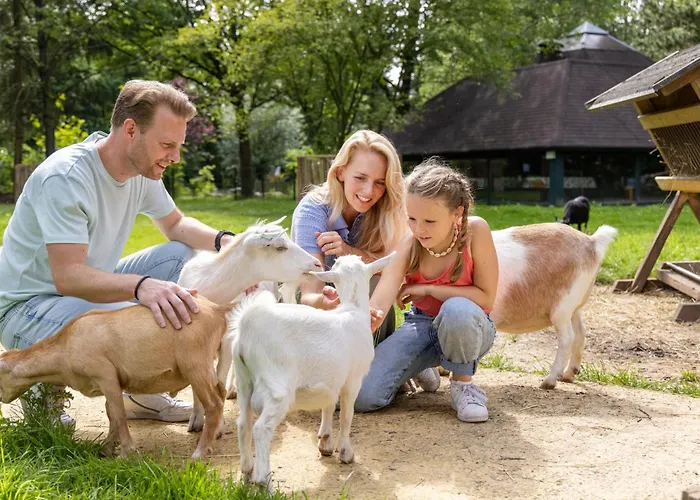 Hotel Het Heijderbos By Center Parcs *